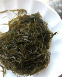 海藻菜包子的做法大全 野辣菜包子的做法大全