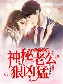 新婚老公很凶猛 闪婚老公很大1v1