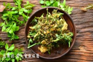 生花椒芽菜做法大全 韩城大红袍花椒芽菜辣酱