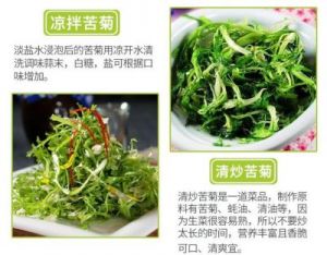 狗牙菜做法 野生狗牙菜图片