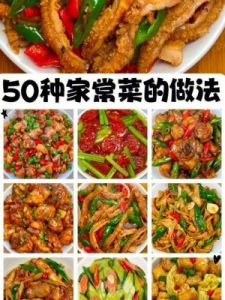 美食教程家常菜做法 家常菜美食教程古风少年