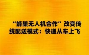 得到超级肉禽系统 糖小僧 史上第一混乱 精校