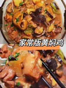 家常黄焖鸡的做法与步骤，让你轻松掌握美味的烹饪技巧