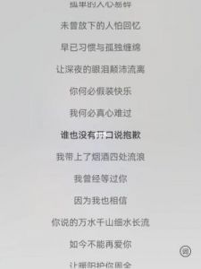 在雨中漫步的孤独，未删减全文小说免费阅读