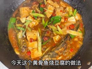 家常美味：红烧鱼豆腐的做法与技巧