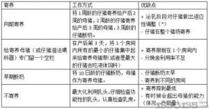 猪天堂的饲养与管理技巧